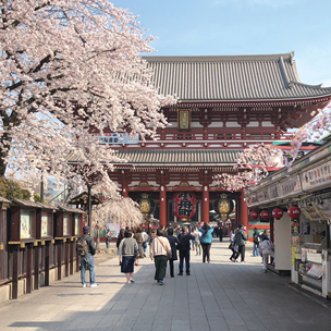 운세 뽑기부터 군것질까지, 도쿄 아사쿠사를 즐기는 알찬 방법 8가지